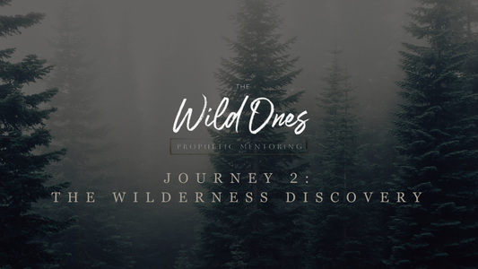 WILD ONES JOURNEY 2: THE WILDERNESS DISCOVERY